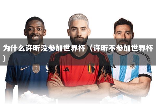 为什么许昕没参加世界杯（许昕不参加世界杯）