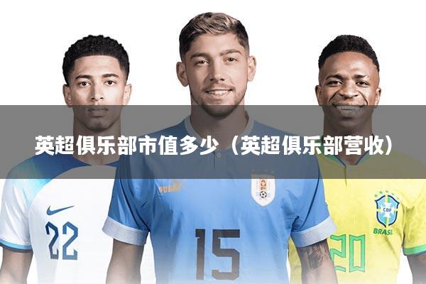 英超俱乐部市值多少（英超俱乐部营收）